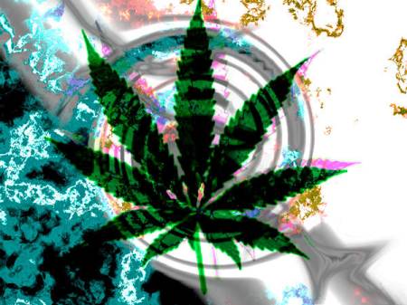 static/gallery/Pothead/Marijuana_by_LSDinMYmind.jpg